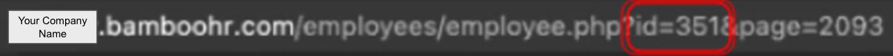 BambooHR URL.png